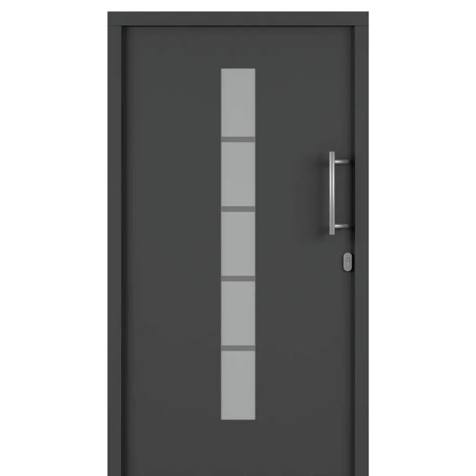 Alu-Kunststoffhaustür 'Calgary' 1000 x 2000 mm DIN R
