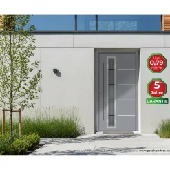 Alu-Stahlhaustür 'B06' grau links 110 x 210 cm