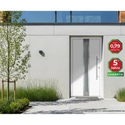 Alu-Stahlhaustür 'B01' weiß rechts 100 x 210 cm