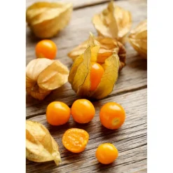 Ananas - Physalis