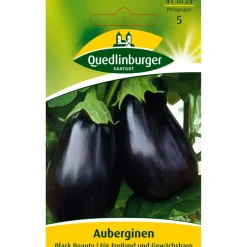 Aubergine 'Black Beauty'