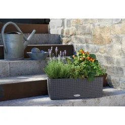 Balkonkasten 'BALCONERA Cottage 50' Kunststoff granitfarben 50 x 19 x 19 cm
