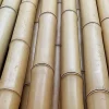 Bambusstab 90 cm 10 Stück