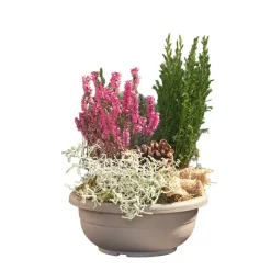 Bepflanzte Grabschale Kunststoff 20 cm Topf