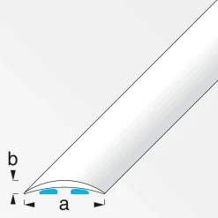 Übergangsprofil 4 x 100 cm titanfarben