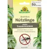 Bestell-Karte Nützlinge gegen Trauermücken