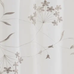 BG Cappellini 06
