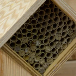 Bienenhotel 'Raute'