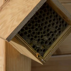 Bienenhotel 'Raute'