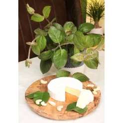 Bio-Käsekraut 12 cm Topf