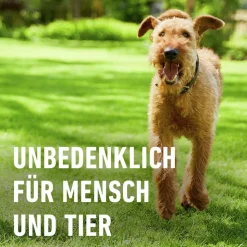 Bio-Rasendünger 3 kg für 75 m²
