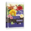 Blumenerde torffrei 10 l