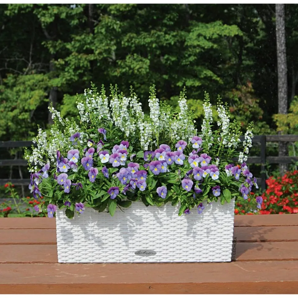 Blumenkasten 'BALCONERA Cottage 50' Kunststoff weiß 50 x 19 x 19 cm