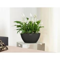 Blumenkasten 'CUBETO Stone 40' graphitschwarz, Komplett-Set