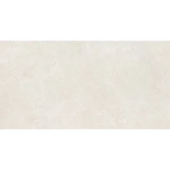 Bodenfliese 'Dolomit' Feinsteinzeug 30 x 60 x 0,88 cm