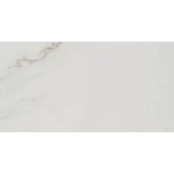Bodenfliese 'Fontana' Feinsteinzeug weiß glänzend 30 x 60 cm