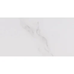 Bodenfliese 'Fontana' Feinsteinzeug weiß glänzend 30 x 60 cm