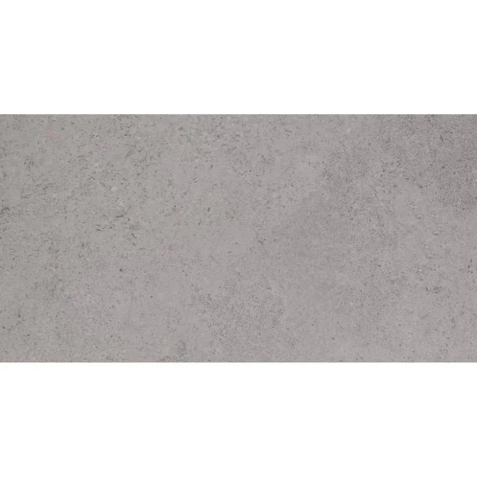 Bodenfliese 'Lims' grau 60 x 120 cm