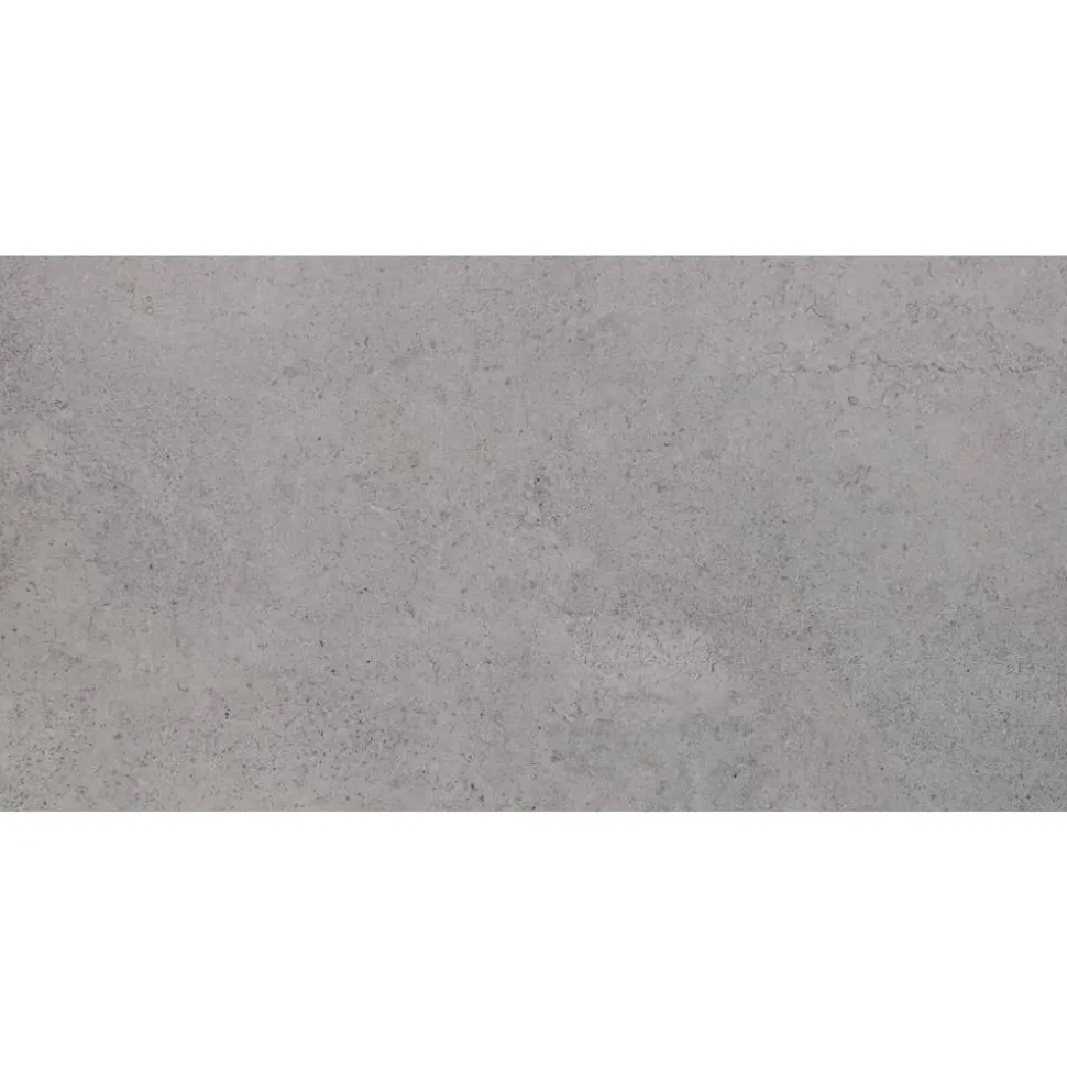 Bodenfliese 'Lims' grau 60 x 120 cm