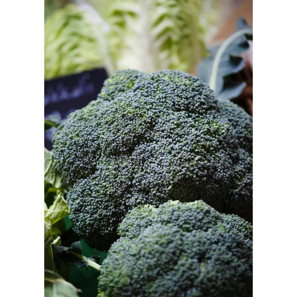 Broccoli 6er-Schale