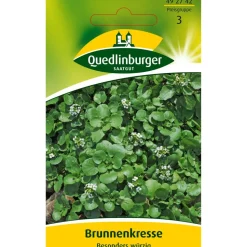 Brunnekresse