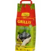 Buchen-Grillholzkohlebriketts 'Grillis' 3 kg