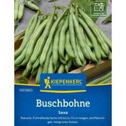 Buschbohne 'Saxa'