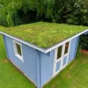 Dachbegrünung 20 m²