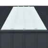Dachpaneel 'Skylight 3' für Gerätehauser, 155 x 65,5 cm