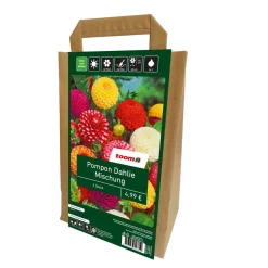 Dahlia Mix Tragetasche Farbe 1 Pompon Mischung