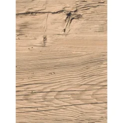 Dekorpaneel 'DecoWall DO006' Namur Fichte hell 1250 mm x 660 mm