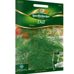 Dill 'Diana'