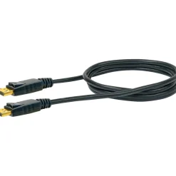 DisplayPort Anschlusskabel schwarz 2 m