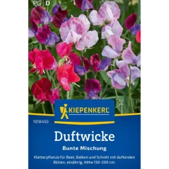 Duftwicke 'Bunte Mischung'