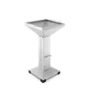 Edelstahlgrill 'Thüros T2' Grillfläche 35 x 35 cm