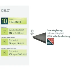 Einzelcarport 'Oslo' anthrazit 607,5 x 596,5 cm Polycarbonat grau