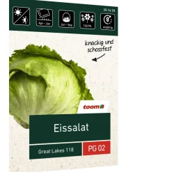 Eissalat 'Great Lakes 118'