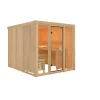Elementsauna 'Arabella' naturbelassen mit bronzierter Tür und Glasfront 216 x 234 x 198 cm