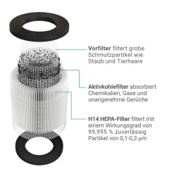 Ersatz-Kombifilter für Luftreiniger 'AirCare 1000 VirusEx H14 Ion'