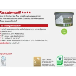 Fassadenweiß seidenmatt 5 l