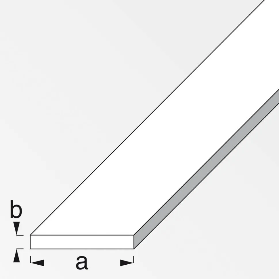 Flachprofil 100 cm