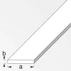 Flachprofil 100 x 5 x 0,03 cm