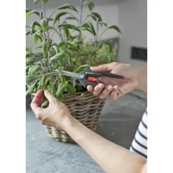 Gartenschere 'FreshCut' mit Kräuterschildern