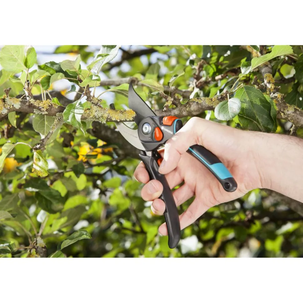 Gartenschere B/S-XL