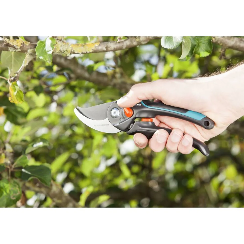 Gartenschere B/S-XL
