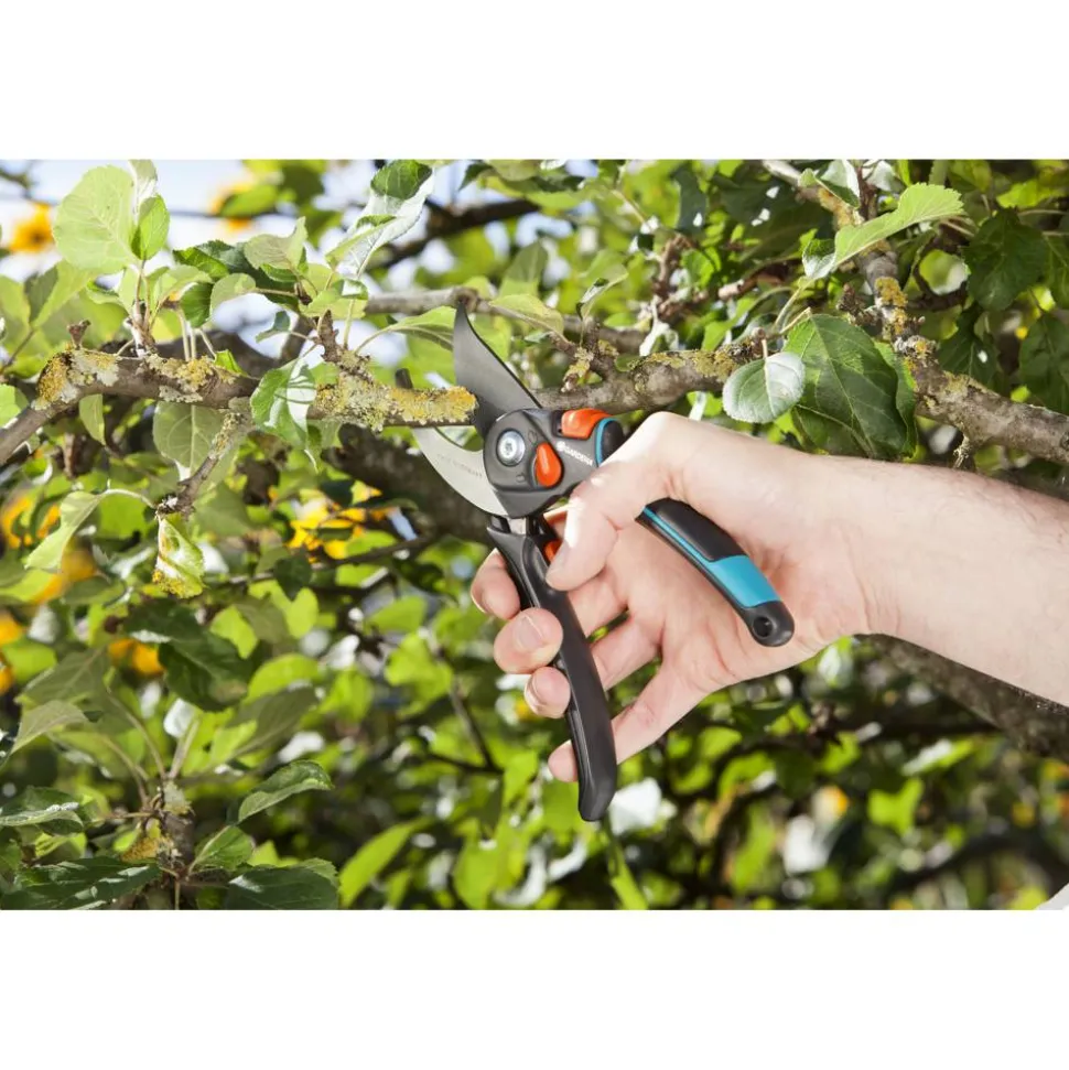 Gartenschere B/S-XL