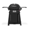 Gasgrill mit Rollwagen 'Q2800N+' schwarz