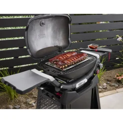 Gasgrill mit Rollwagen 'Q2800N+' schwarz