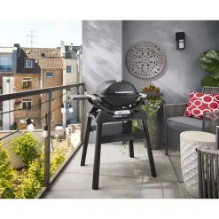 Gasgrill mit Stand 'Q1200N' schwarz