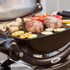 Gasgrill 'Q 1200' schwarz 104 x 120 x 60 cm